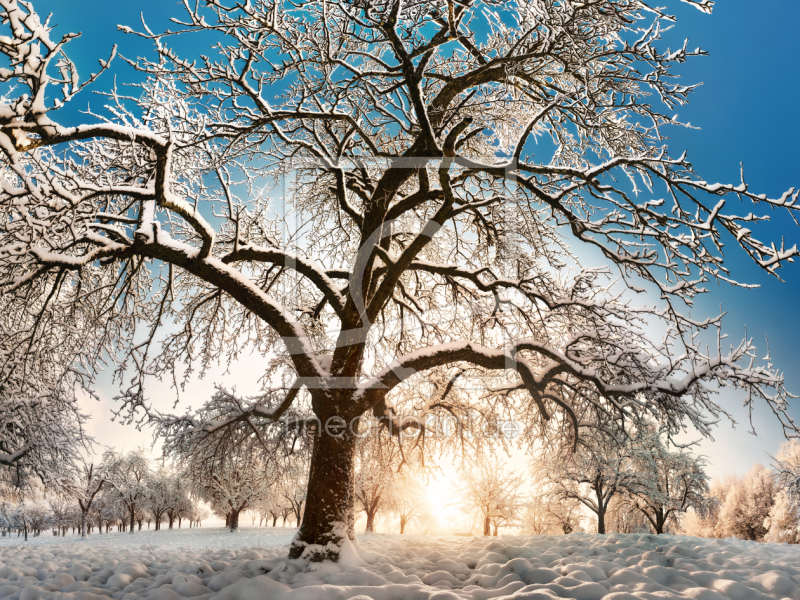 frei wählbarer Bildausschnitt für Ihr Bild auf Leinwand