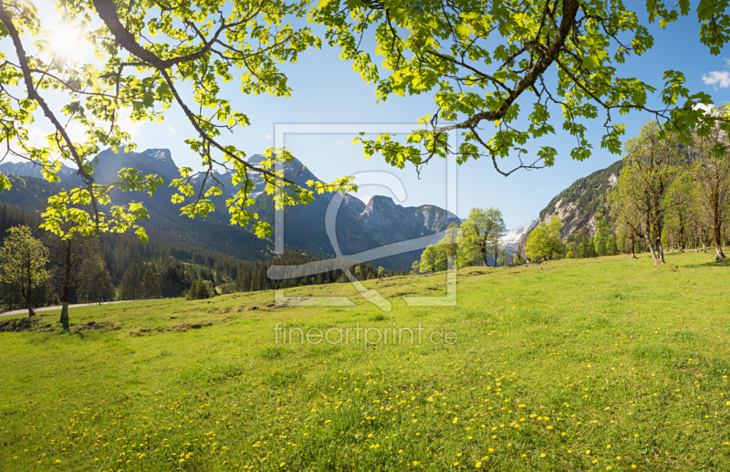 frei wählbarer Bildausschnitt für Ihr Bild auf Leinwand