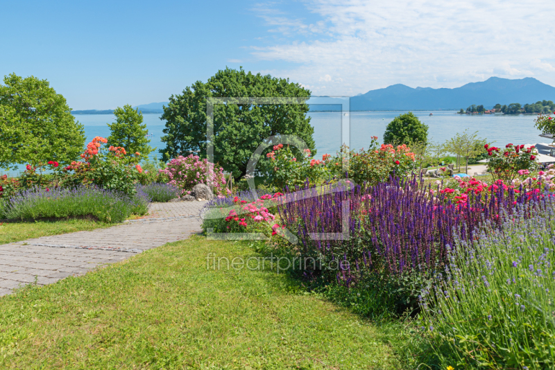 frei wählbarer Bildausschnitt für Ihr Bild auf Leinwand