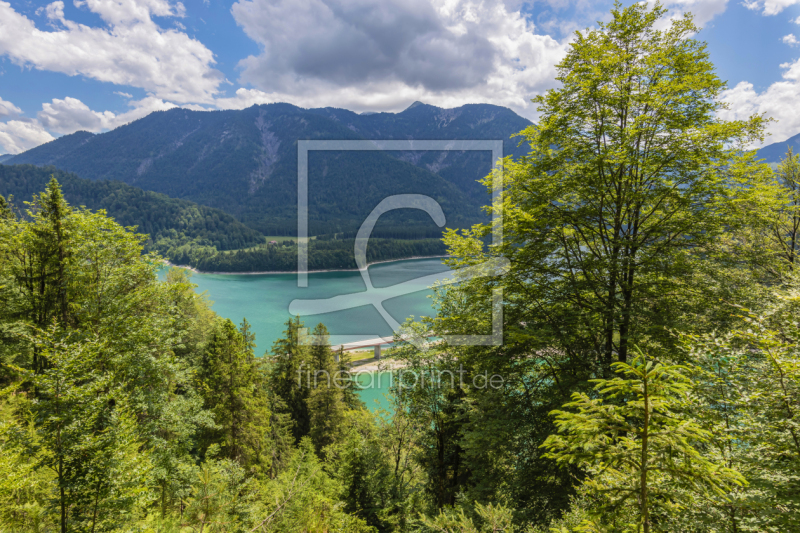 frei wählbarer Bildausschnitt für Ihr Bild auf Leinwand