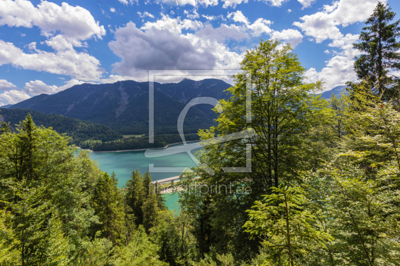 frei wählbarer Bildausschnitt für Ihr Bild auf Leinwand