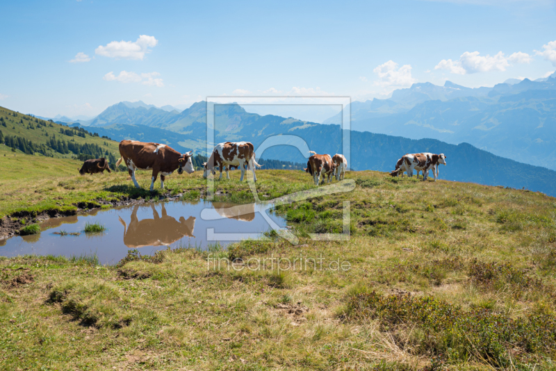 frei wählbarer Bildausschnitt für Ihr Bild auf Leinwand