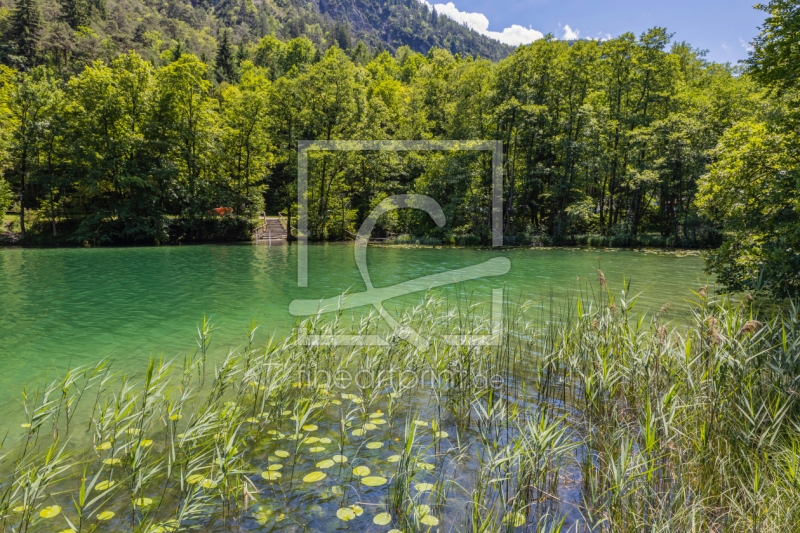 frei wählbarer Bildausschnitt für Ihr Bild auf Leinwand