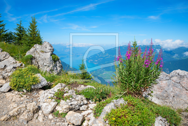 frei wählbarer Bildausschnitt für Ihr Bild auf Leinwand