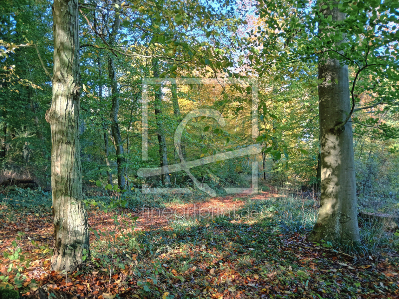 frei wählbarer Bildausschnitt für Ihr Bild auf Leinwand