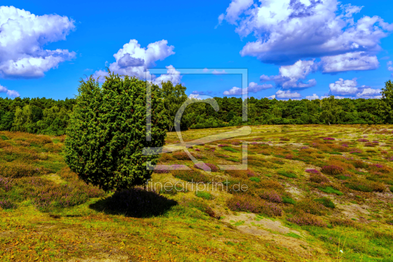 frei wählbarer Bildausschnitt für Ihr Bild auf Leinwand