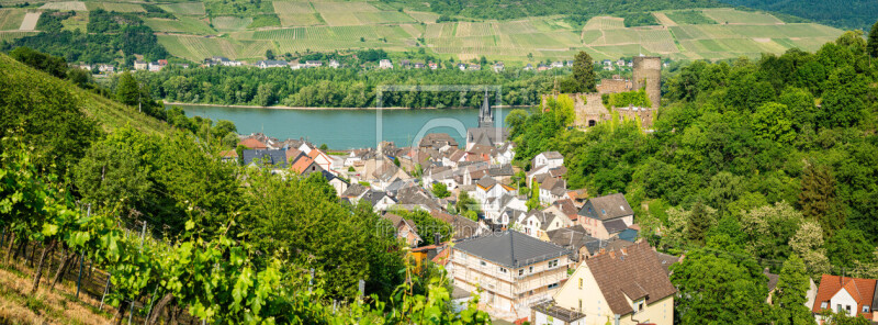 frei wählbarer Bildausschnitt für Ihr Bild auf Leinwand