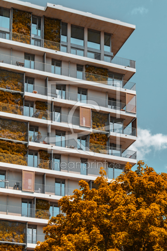 frei wählbarer Bildausschnitt für Ihr Bild auf Leinwand