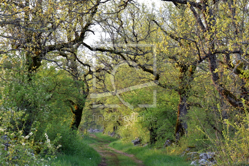 frei wählbarer Bildausschnitt für Ihr Bild auf Leinwand