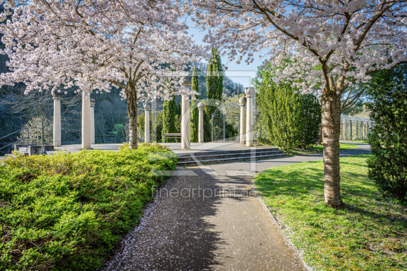 frei wählbarer Bildausschnitt für Ihr Bild auf Leinwand