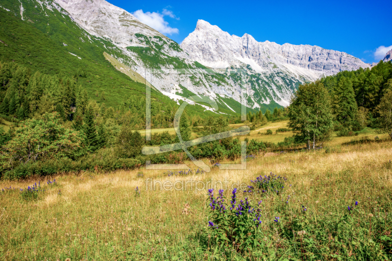 frei wählbarer Bildausschnitt für Ihr Bild auf Leinwand