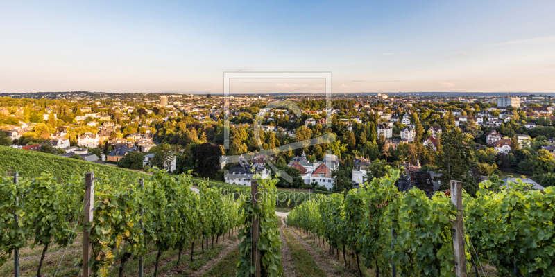 frei wählbarer Bildausschnitt für Ihr Bild auf Leinwand