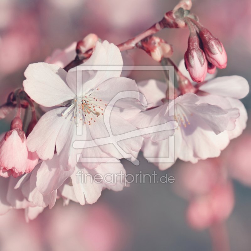 frei wählbarer Bildausschnitt für Ihr Bild auf Leinwand