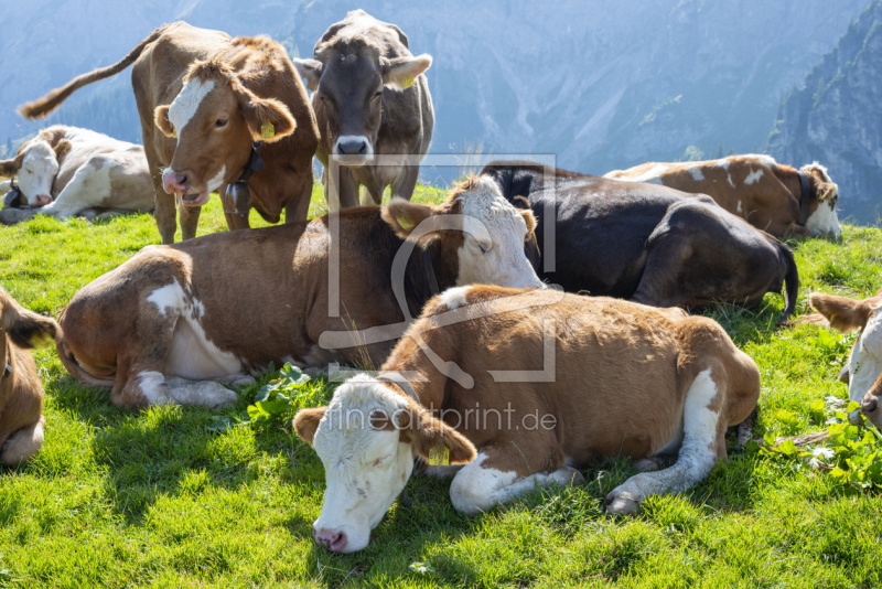 frei wählbarer Bildausschnitt für Ihr Bild auf Leinwand