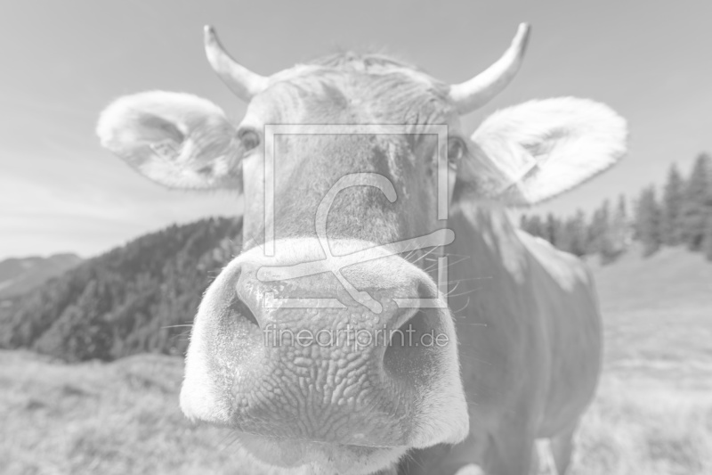 frei wählbarer Bildausschnitt für Ihr Bild auf Leinwand