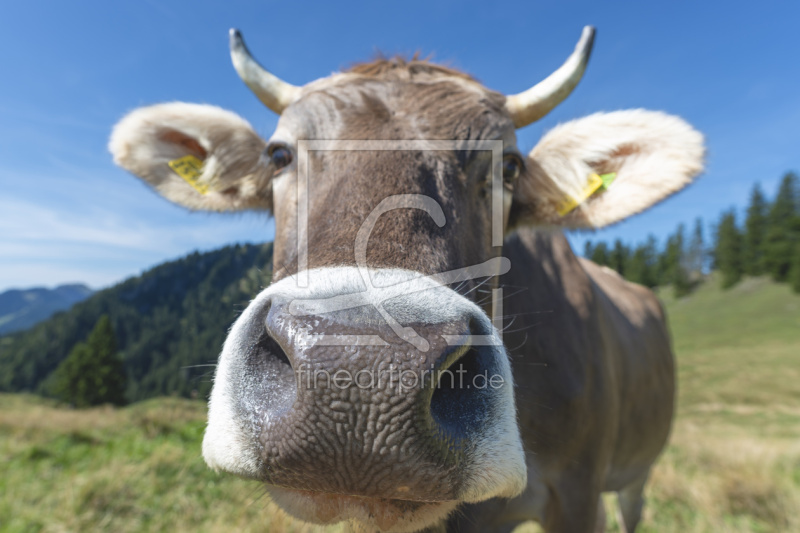 frei wählbarer Bildausschnitt für Ihr Bild auf Leinwand