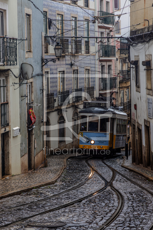 frei wählbarer Bildausschnitt für Ihr Bild auf Leinwand