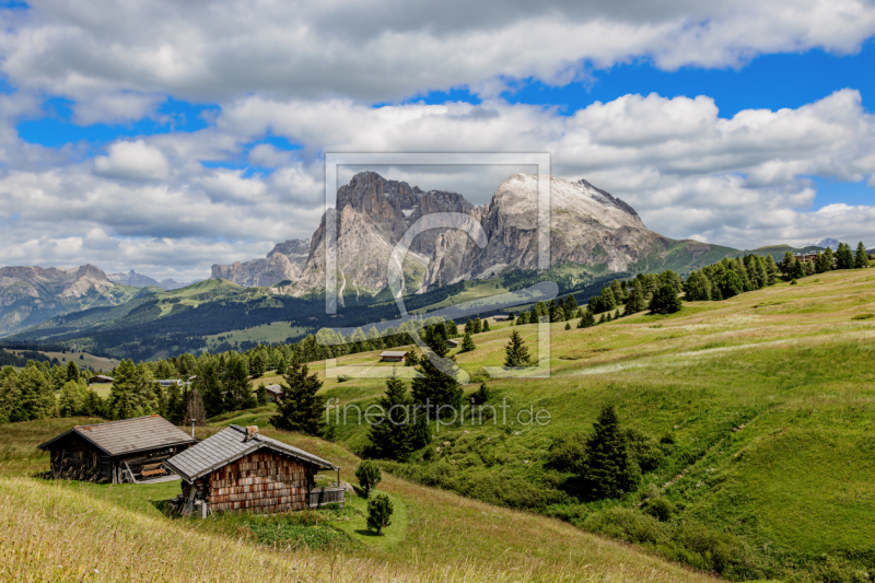 frei wählbarer Bildausschnitt für Ihr Bild auf Leinwand