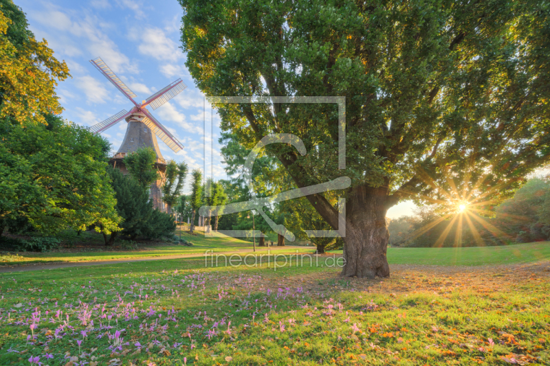 frei wählbarer Bildausschnitt für Ihr Bild auf Leinwand