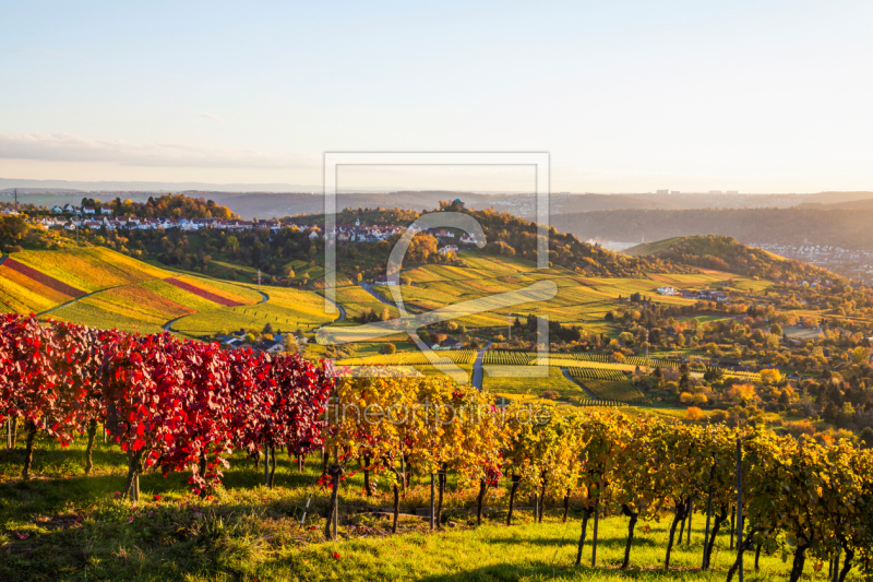 frei wählbarer Bildausschnitt für Ihr Bild auf Leinwand
