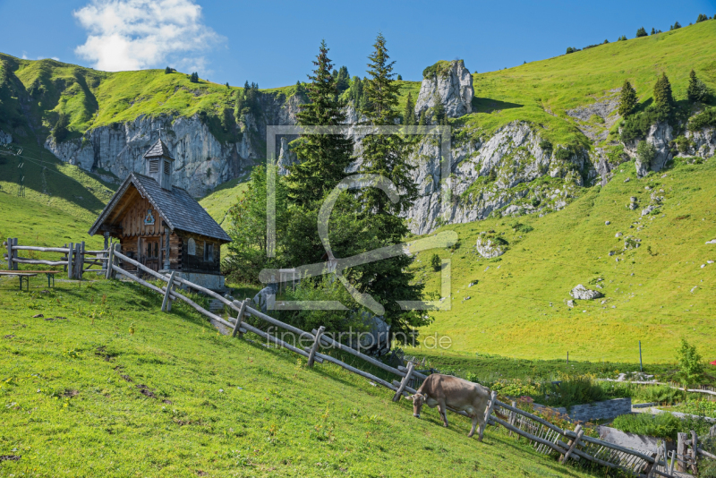 frei wählbarer Bildausschnitt für Ihr Bild auf Leinwand