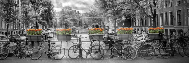 frei wählbarer Bildausschnitt für Ihr Bild auf Leinwand