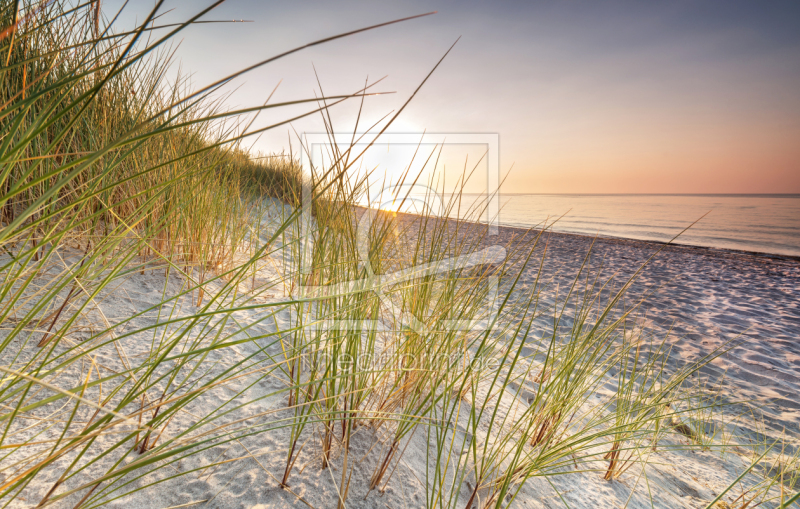 frei wählbarer Bildausschnitt für Ihr Bild auf Leinwand