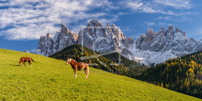 frei wählbarer Bildausschnitt für Ihr Bild auf Leinwand