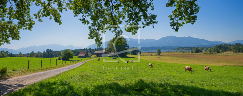 frei wählbarer Bildausschnitt für Ihr Bild auf Leinwand
