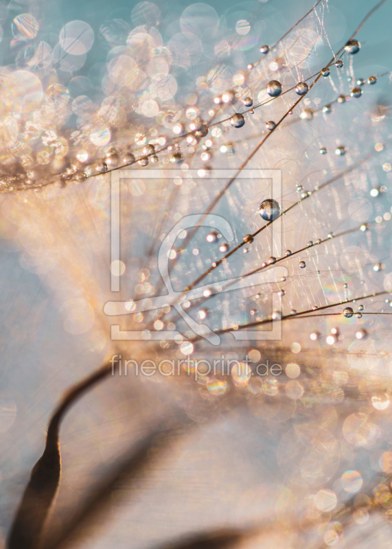 frei wählbarer Bildausschnitt für Ihr Bild auf Leinwand