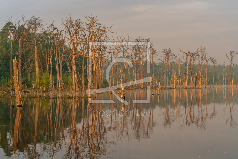 frei wählbarer Bildausschnitt für Ihr Bild auf Leinwand