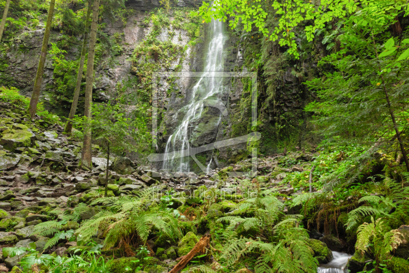 frei wählbarer Bildausschnitt für Ihr Bild auf Leinwand