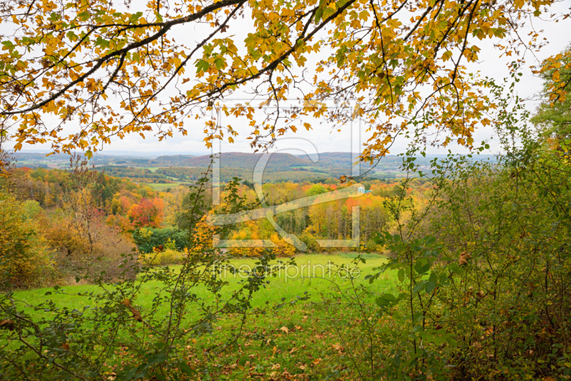frei wählbarer Bildausschnitt für Ihr Bild auf Leinwand
