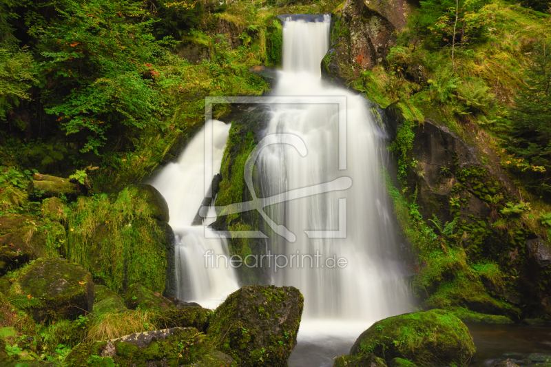 frei wählbarer Bildausschnitt für Ihr Bild auf Leinwand