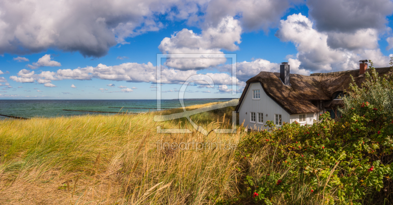 frei wählbarer Bildausschnitt für Ihr Bild auf Leinwand