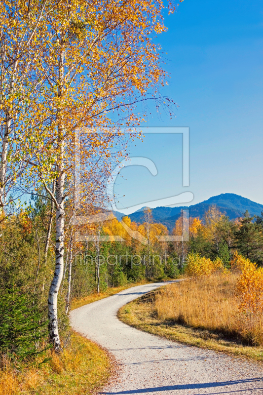 frei wählbarer Bildausschnitt für Ihr Bild auf Leinwand