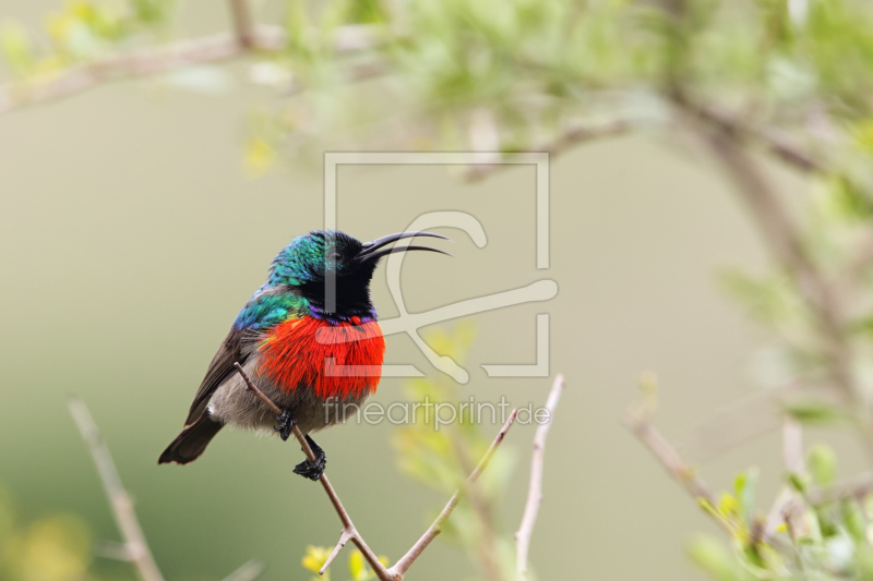 frei wählbarer Bildausschnitt für Ihr Bild auf Leinwand