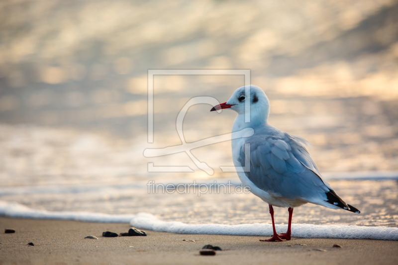 frei wählbarer Bildausschnitt für Ihr Bild auf Leinwand