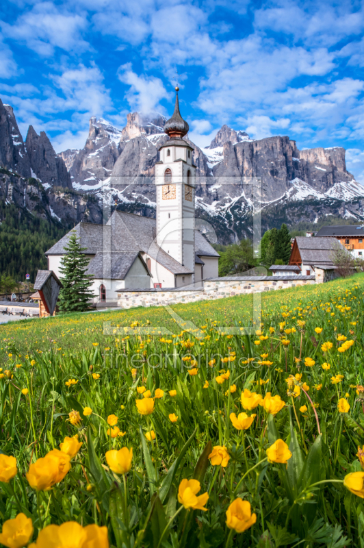 frei wählbarer Bildausschnitt für Ihr Bild auf Leinwand