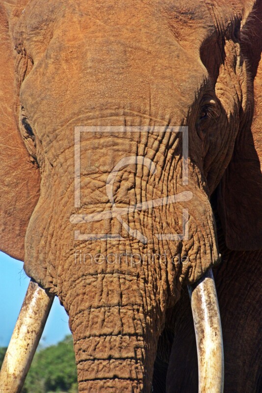 frei wählbarer Bildausschnitt für Ihr Bild auf Leinwand