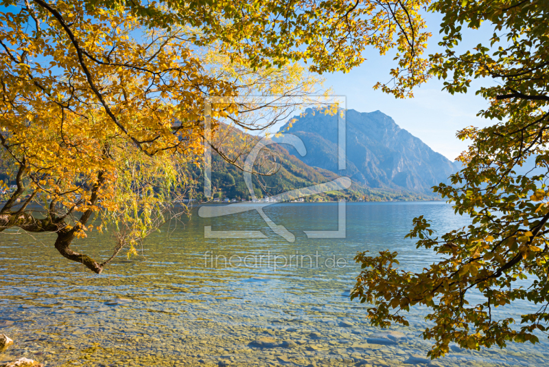 frei wählbarer Bildausschnitt für Ihr Bild auf Leinwand