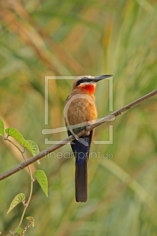 frei wählbarer Bildausschnitt für Ihr Bild auf Leinwand
