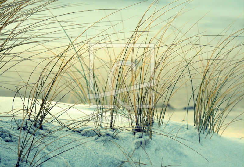 frei wählbarer Bildausschnitt für Ihr Bild auf Leinwand