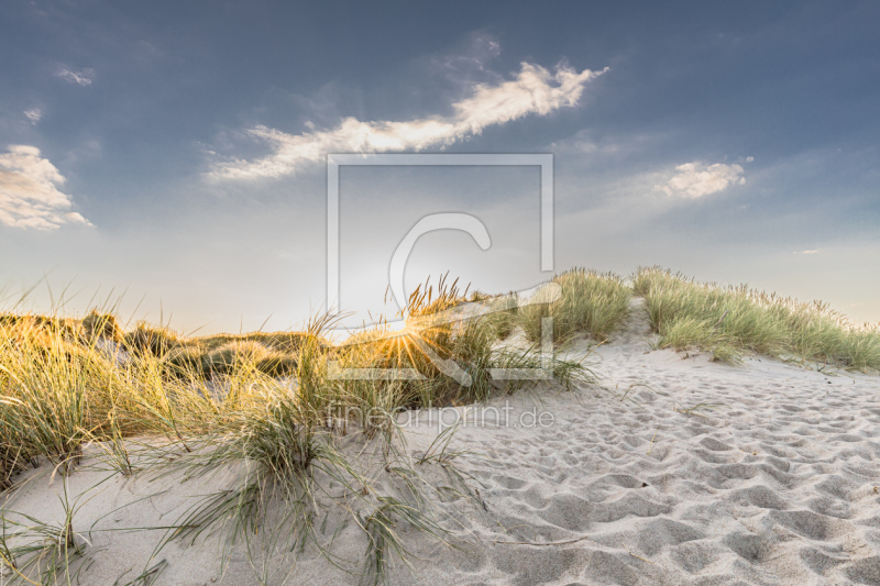 frei wählbarer Bildausschnitt für Ihr Bild auf Leinwand