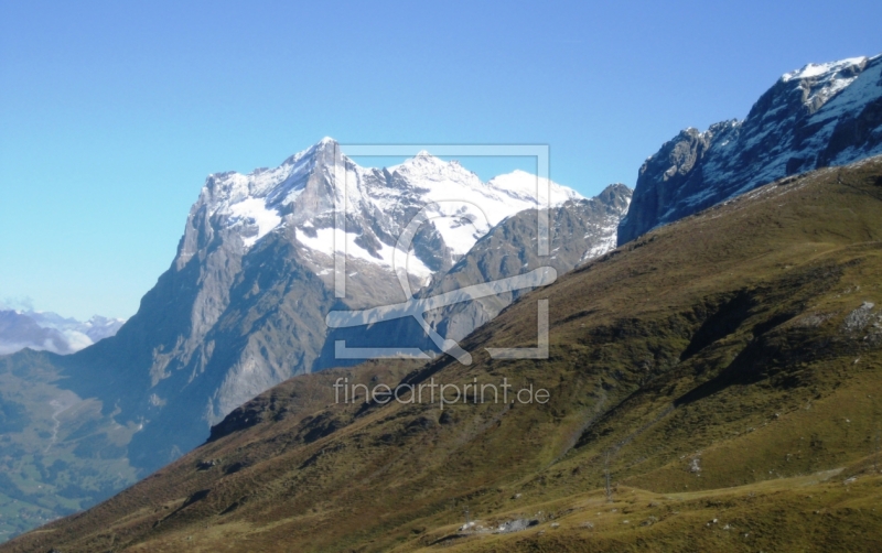 frei wählbarer Bildausschnitt für Ihr Bild auf Leinwand