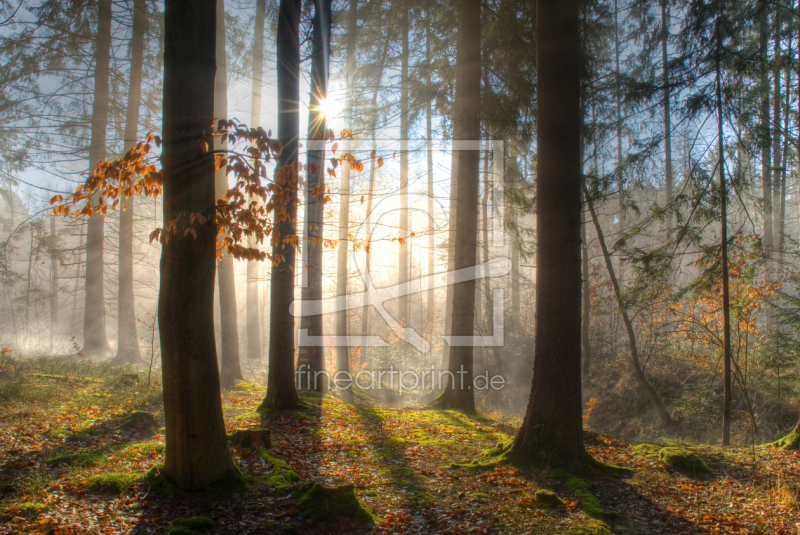 frei wählbarer Bildausschnitt für Ihr Bild auf Leinwand