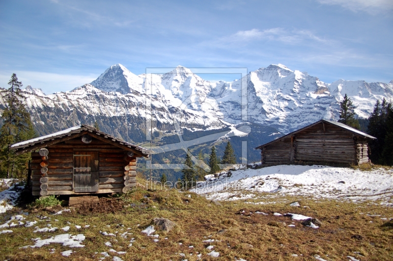 frei wählbarer Bildausschnitt für Ihr Bild auf Leinwand