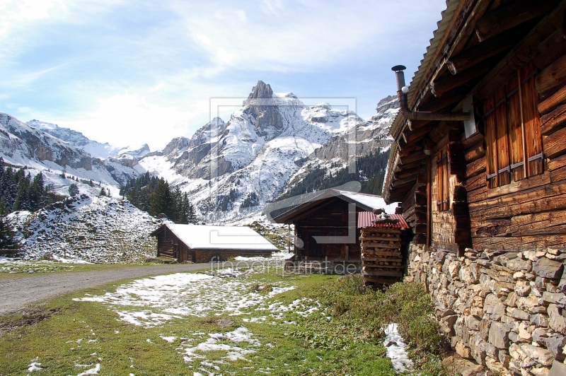 frei wählbarer Bildausschnitt für Ihr Bild auf Leinwand