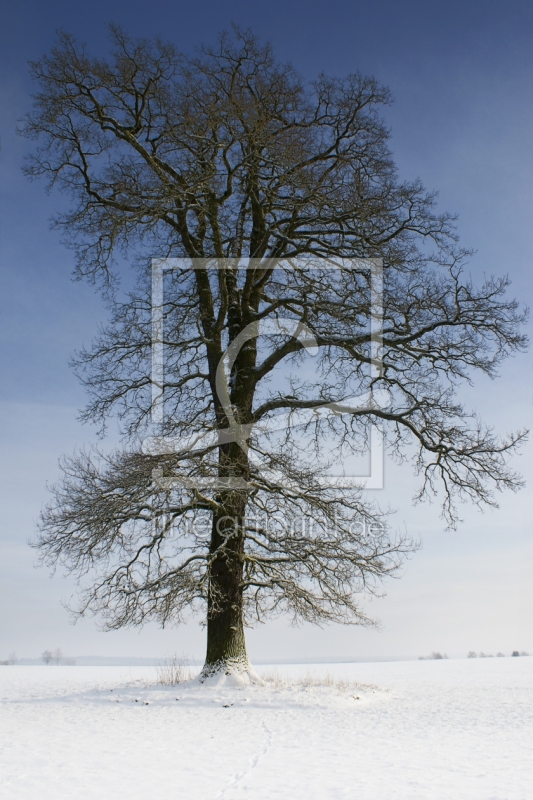 frei wählbarer Bildausschnitt für Ihr Bild auf Leinwand