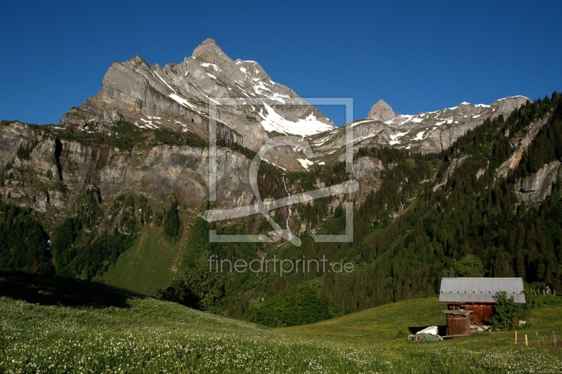 frei wählbarer Bildausschnitt für Ihr Bild auf Leinwand